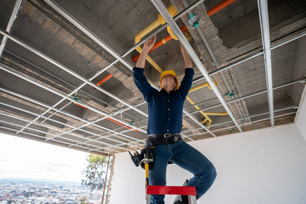 Best Residential Plumbing Services  in Williamsport, IN