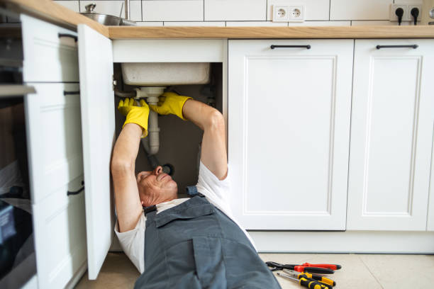 Best Drain Cleaning Services  in Williamsport, IN