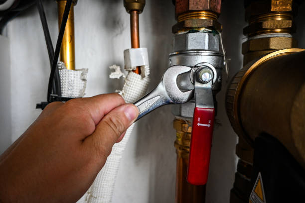 Best Emergency Plumber  in Williamsport, IN